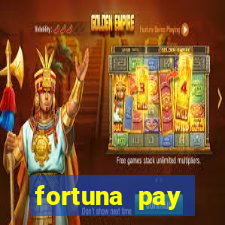 fortuna pay consultoria financeira ltda